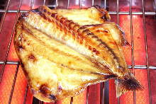 Japanese boarfish