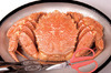 Hair crab boiled in the morning