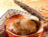 Grilled scallop