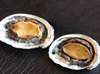 Abalone steak (2pcs)