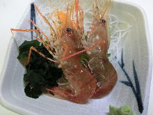 Botan shrimp sashimi