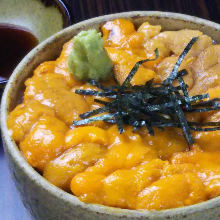 Sea urchin rice bowl