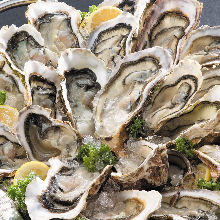 Raw oyster