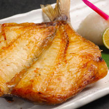 Japanese boarfish