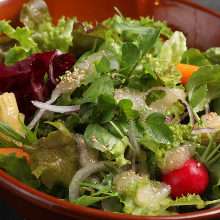 Vegetable salad