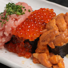 Nokke(raw salmon) Rice