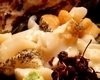 Whelk Whelk