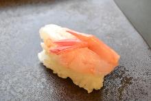 Ama ebi (pink shrimp)