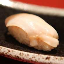 Sakhalin surf clam