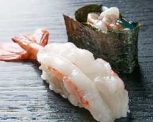 Botan shrimp