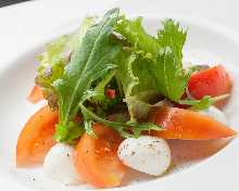 Tomato and mozzarella cheese salad