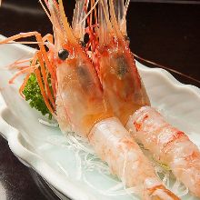 Botan shrimp sashimi