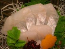 Rockfish sashimi