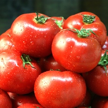 Tomato salad