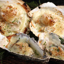 Oyster gratin