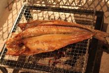 Charcoal grilled Atka mackerel