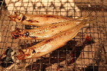 Grilled shishamo smelt