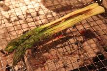 Grilled asparagus