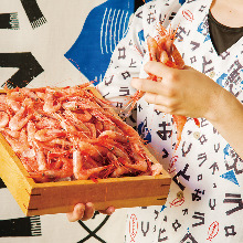 Ama ebi (pink shrimp) sashimi
