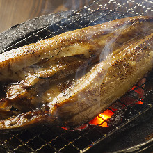 Charcoal grilled Atka mackerel
