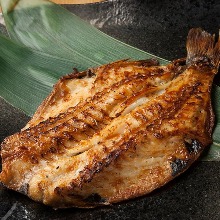 Japanese boarfish