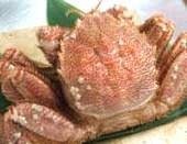 Boiled kegani (horsehair crab) Boiled kegani (horsehair crab)