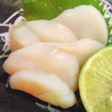 Scallop sashimi