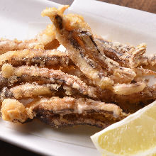 Fried squid