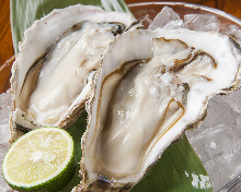 Oysters