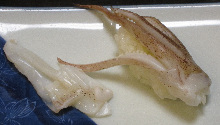 Geso (squid legs)