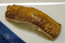 Anago(eel)