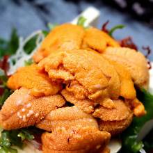 Raw sea urchin