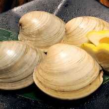 Hamayaki clams (grilled clams)