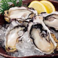 Raw oyster