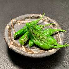 Shishito green pepper