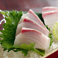 Sashimi