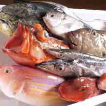 Sashimi