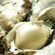 Raw oyster