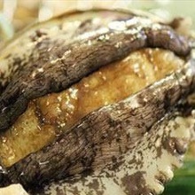 Grilled live abalone with butter