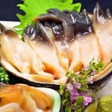 Sakhalin surf clam sashimi