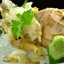 Whelk sashimi