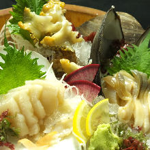 Assorted shellfish sashimi