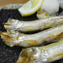 Seared shishamo smelt