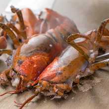 Live lobster teppanyaki