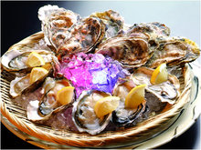 Raw oyster