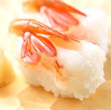 Botan shrimp