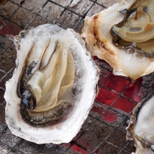 Unsalted grilled oyster