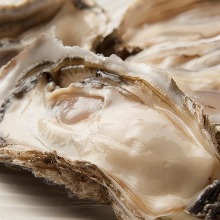 Oysters