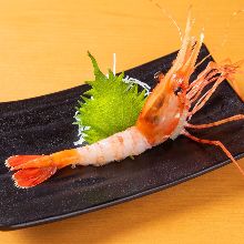 Botan shrimp sashimi