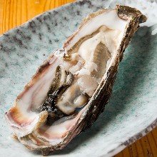 Oyster Sashimi